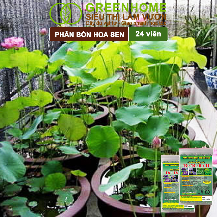 Phân Bón Hoa Sen Greenhome, Vỉ 24 Viên, Cây Thuỷ Sinh, Ngập Nước, Cho Hoa To, Hoa Đậm Màu, Lâu Tàn, Tốt Lá