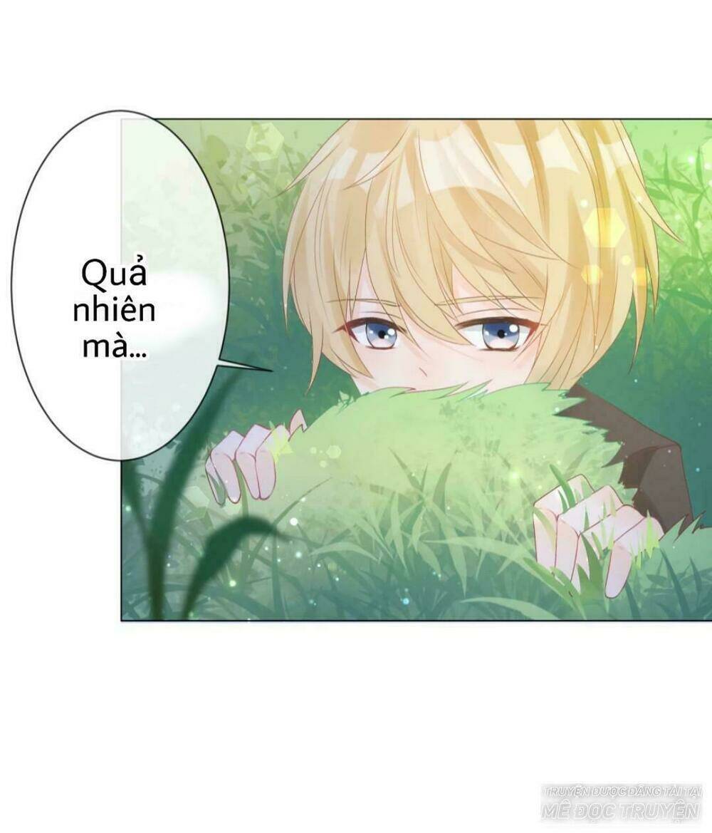 trọng sinh siêu sao - lăng thiếu sủng nghiện chapter 5 31