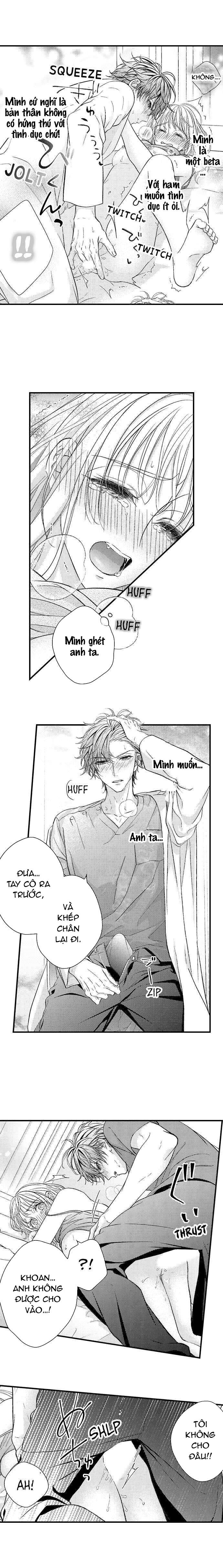 định mệnh thú vị: alpha và omega chapter 3.1 3