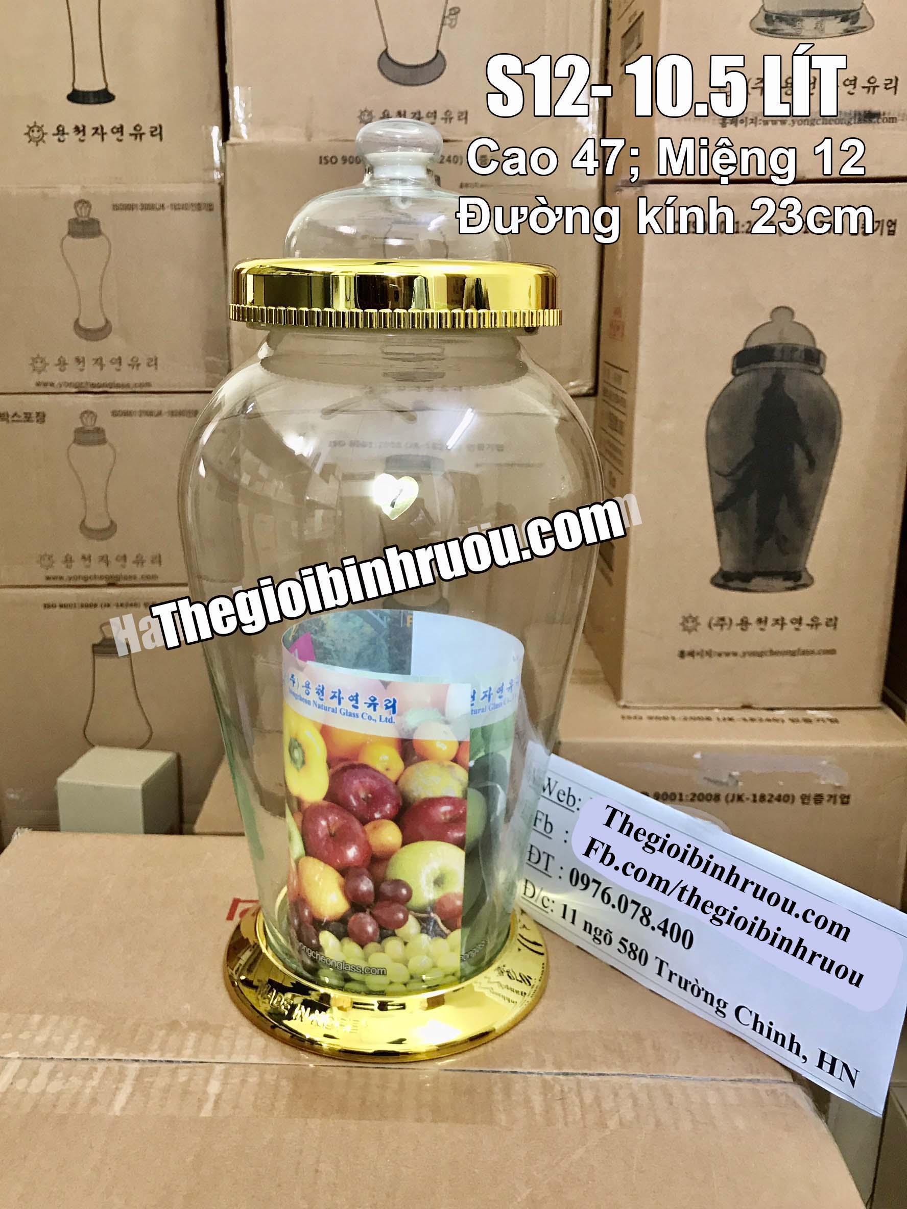Bình ngâm rượu sâm Hàn Quốc 10,5 lít