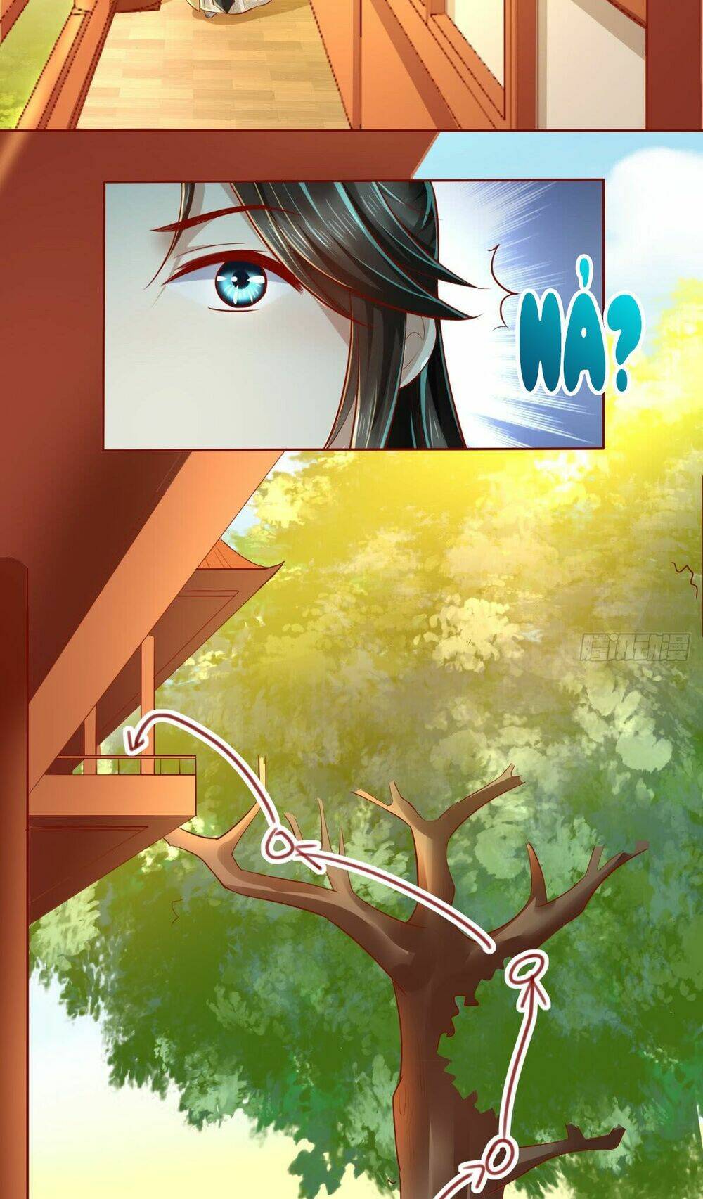 bổn cung muốn làm hoàng đế chapter 17 23