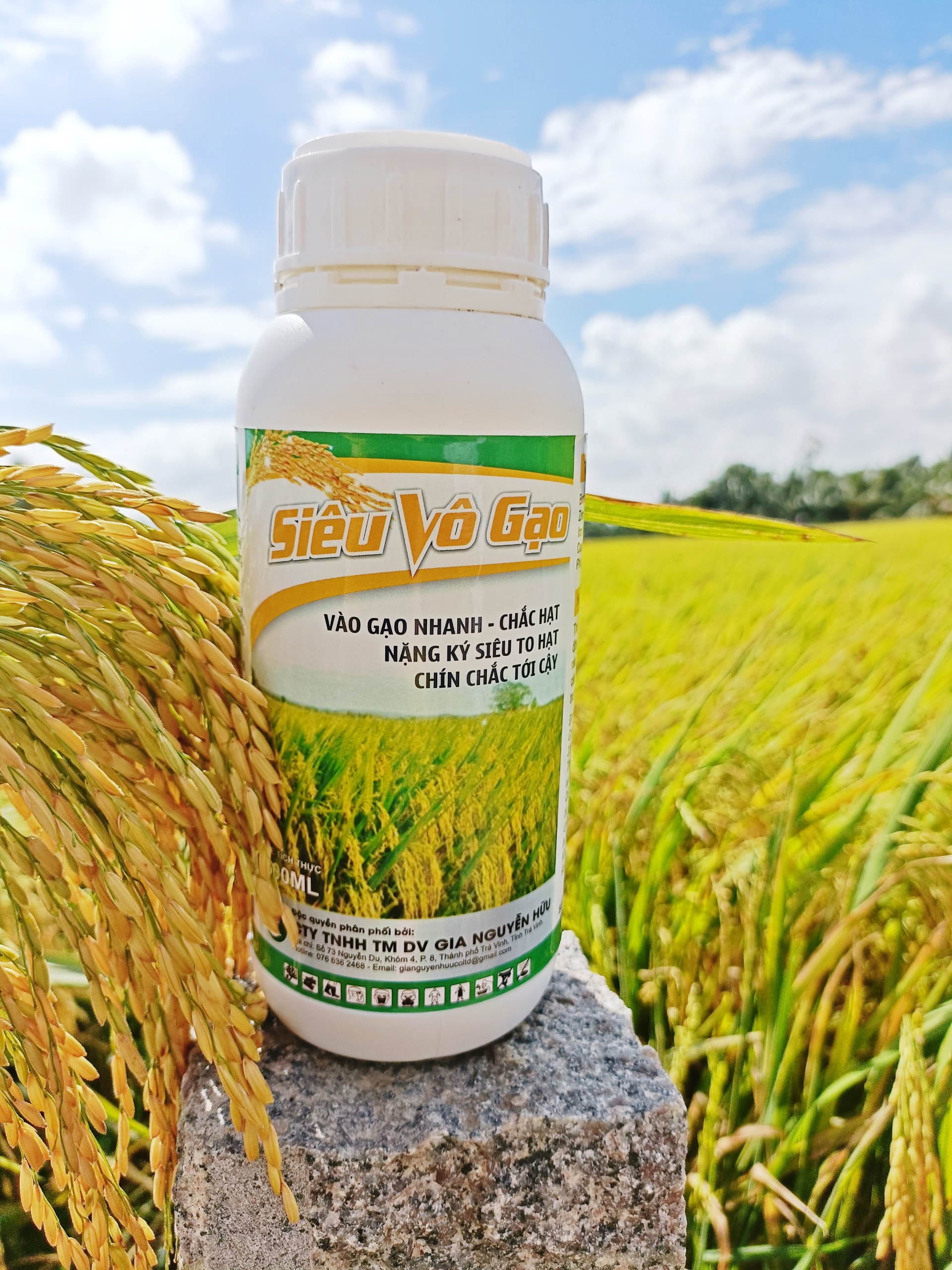 SIÊU VÔ GẠO - vô gạo nhanh, chắc hạt, nặng ký