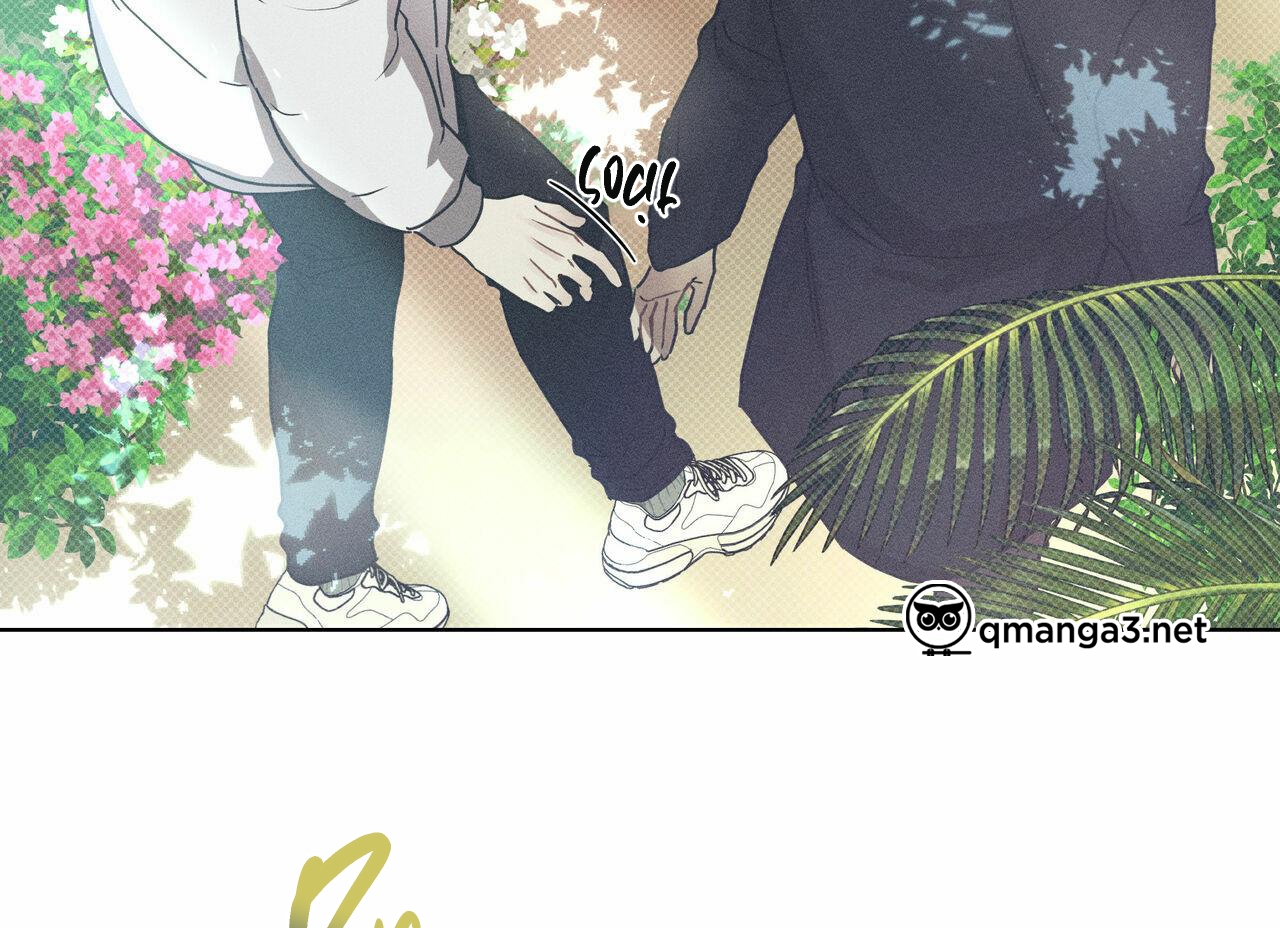 dải hợp âm trên đại dương xanh chapter 29 102