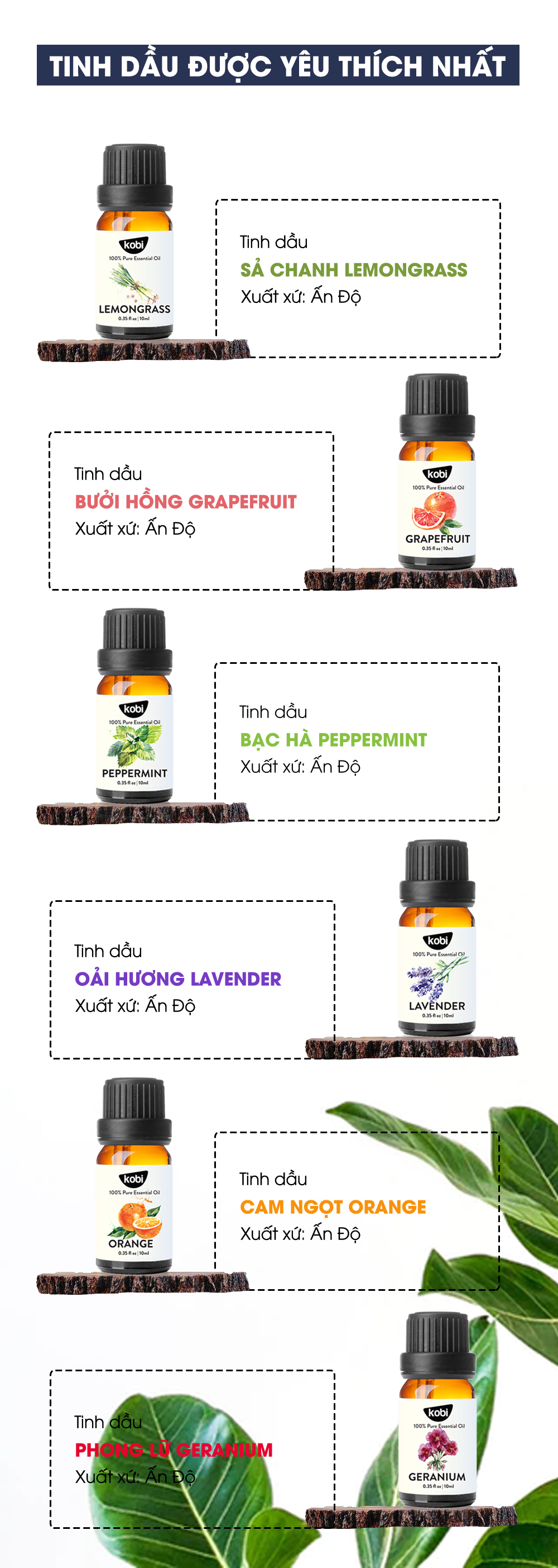 Combo 3 Tinh Dầu Xông Phòng Kháng Khuẩn Sả Chanh, Cam Ngọt, Oải Hương Kobi Giúp Khử Trùng, Thanh Lọc Không Khí, Khử Mùi, Đuổi Muỗi Nguyên Chất