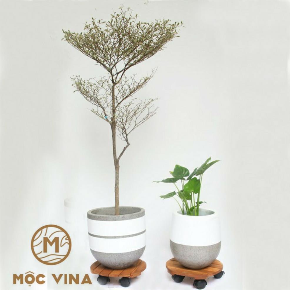 Đế Lót Tròn Nâng Chậu Cây Chậu Hoa Di Động Có Bánh Xe Màu Đen Đường Kính 30 cm Mộc Vina