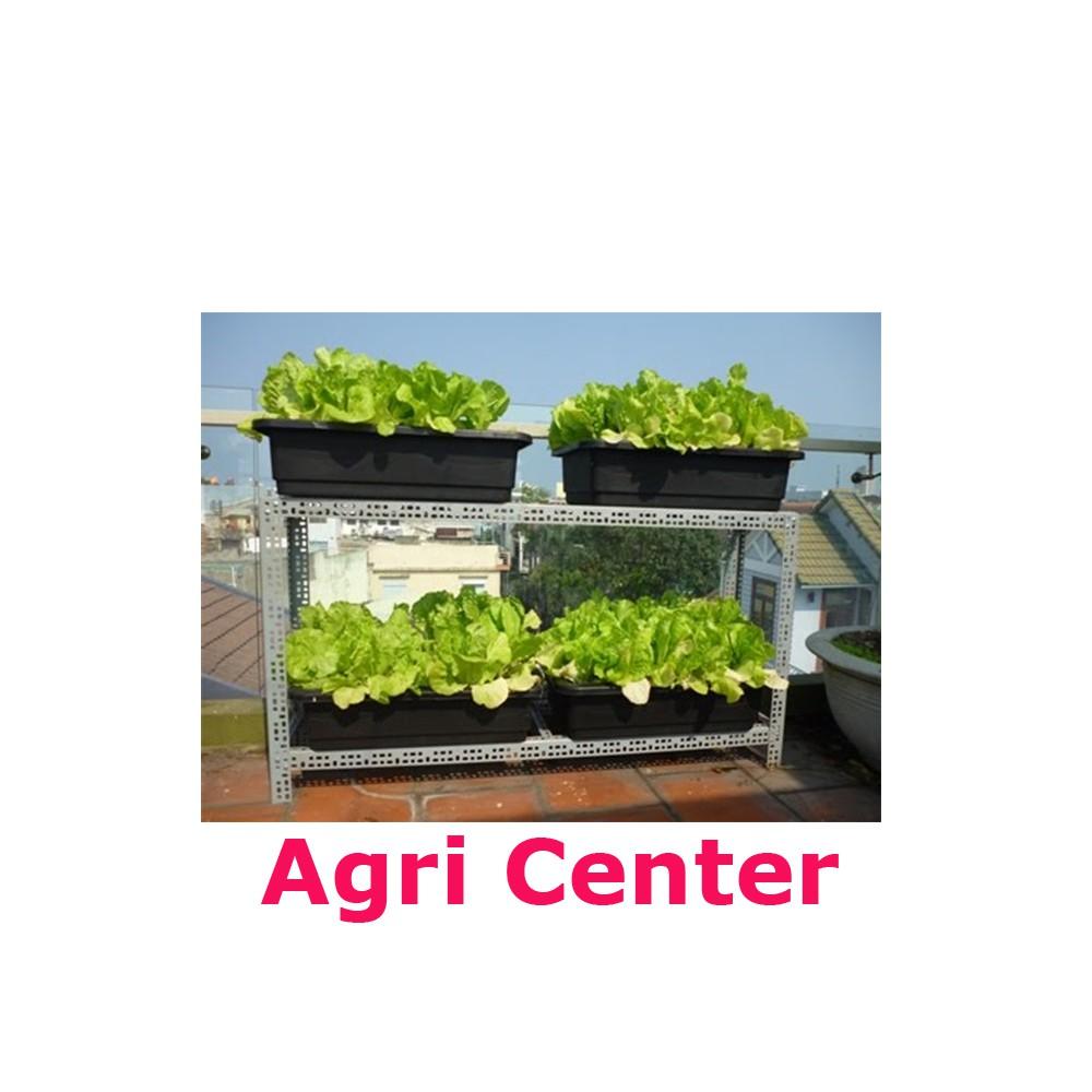 Bộ 1 Khay Trồng Rau Và 1 Túi Đất Hữu Cơ ORGANIC SOIL  Giúp Trồng Rau Sạch Và An Toàn