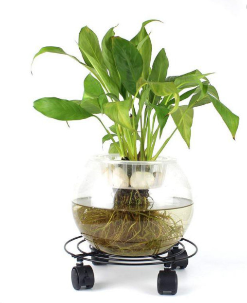 Đế đỡ chậu hoa - Bệ đỡ, giá để chậu có bánh lăn