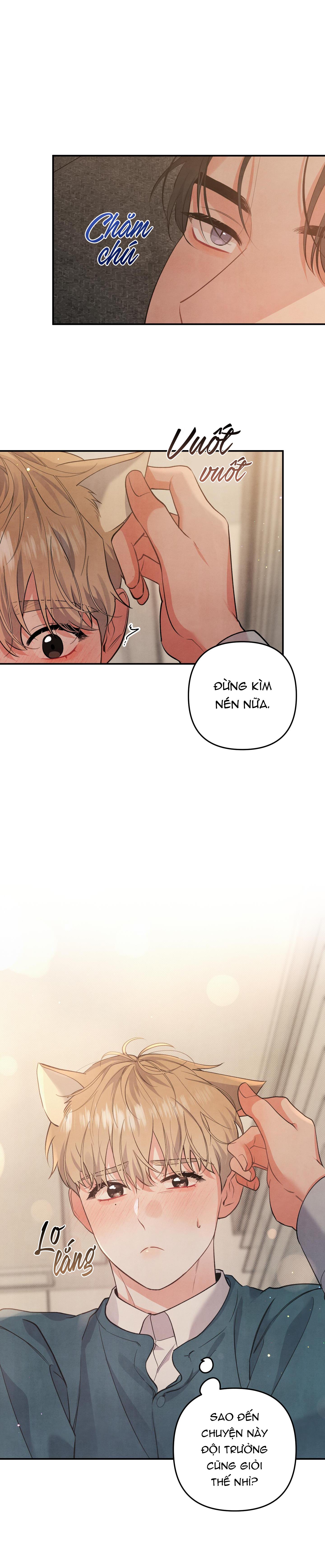 mối quan hệ ngu ngốc chapter 55 16