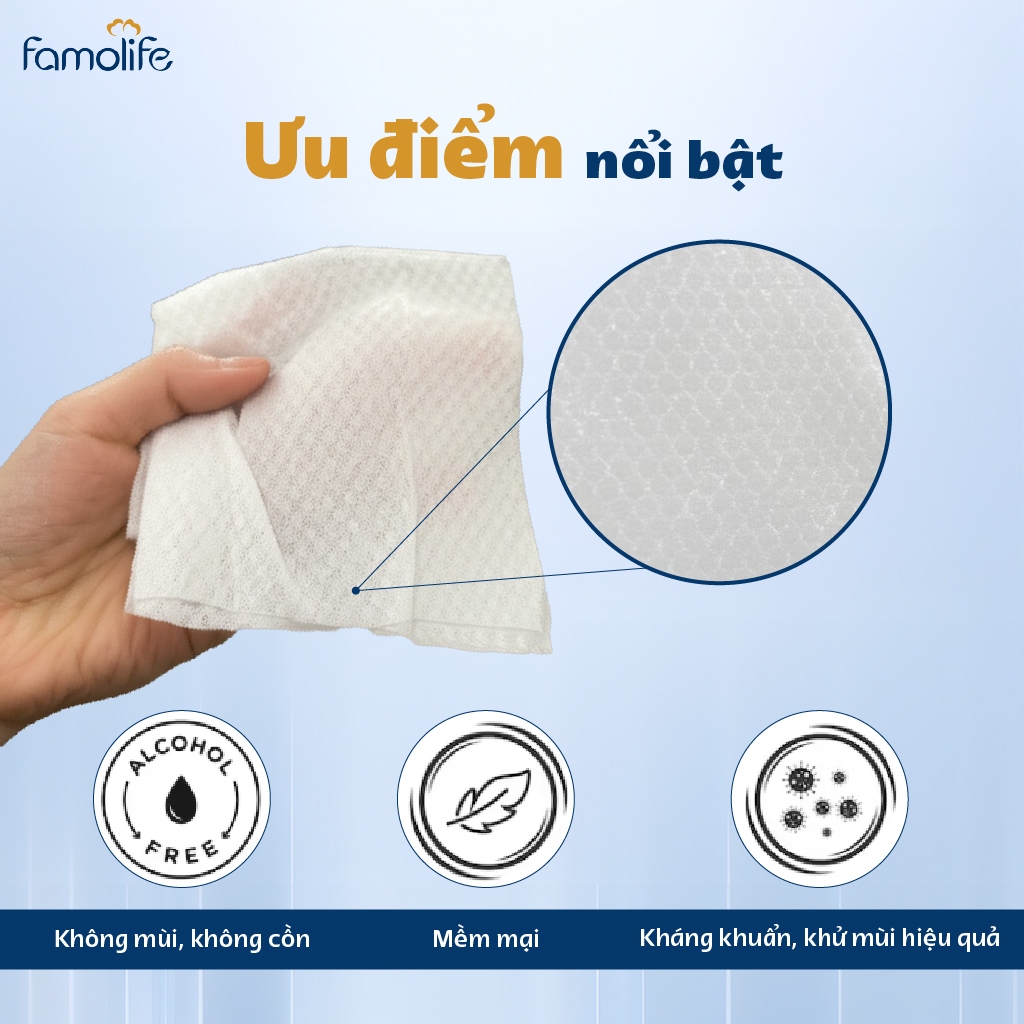 Khăn ướt Famolife 100 tờ không mùi mềm mịn, dưỡng ẩm vệ sinh cho người lớn
