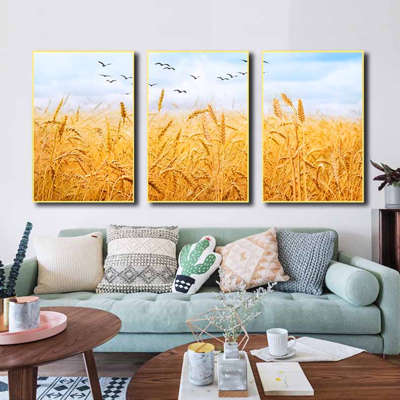 Bộ 3 tranh canvas treo tường Decor Cánh đồng lúa mạch - DC145