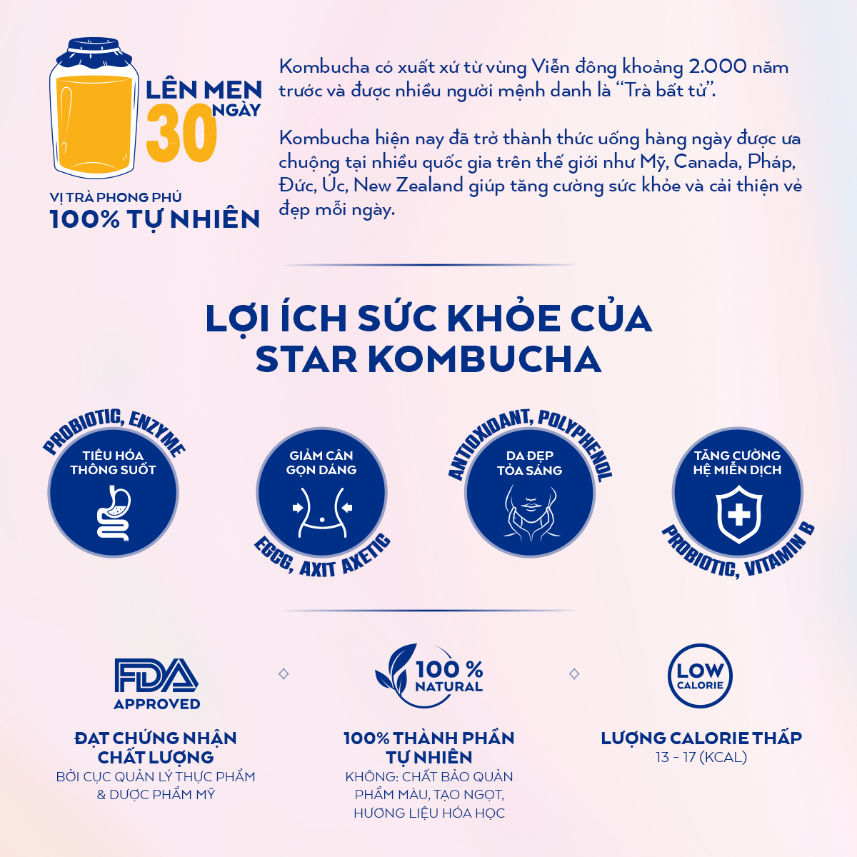 [BAO BÌ XUÂN 2024] Thùng 24 lon trà lên men Star Kombucha mix 4 vị (250ml/lon)