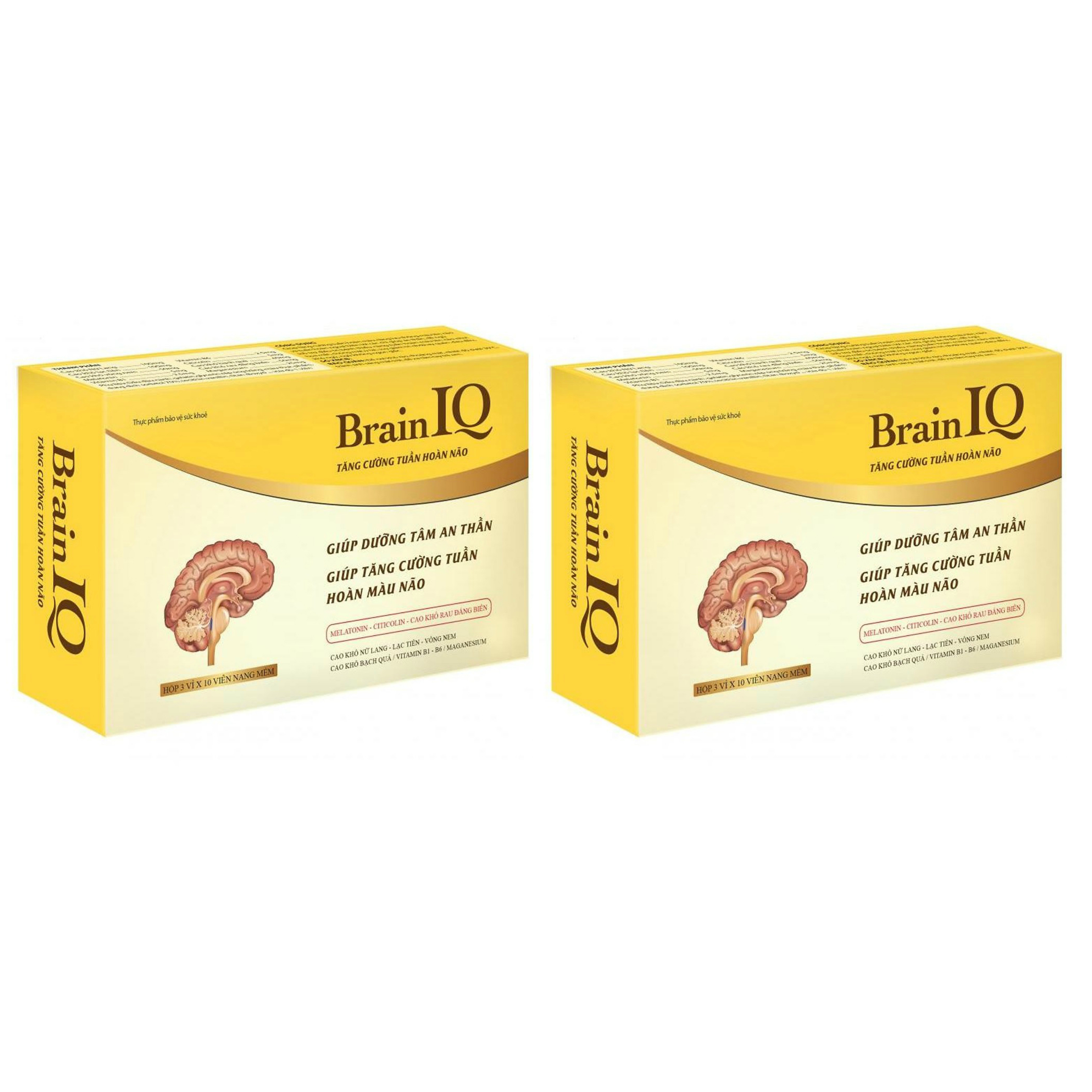 Combo 2 hộp Thực Phẩm Bảo Vệ Sức Khỏe Brain IQ - Tăng Cường Tuần Hoàn Não, Ngủ Ngon, Cải Thiện Trí Nhớ