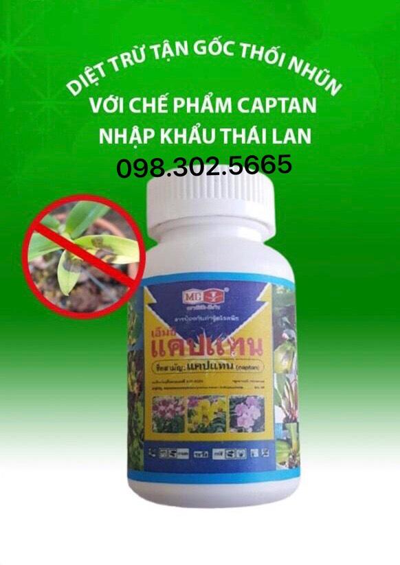 CHẾ PHẨM TRỪ NẤM BỆNH, Thối nhũn HẠI CÂY CAPTAN lọ 50g - hàng nhập Thái Lan