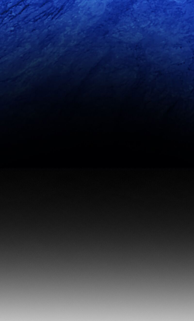 nửa đêm ở poppy land chapter 58 33