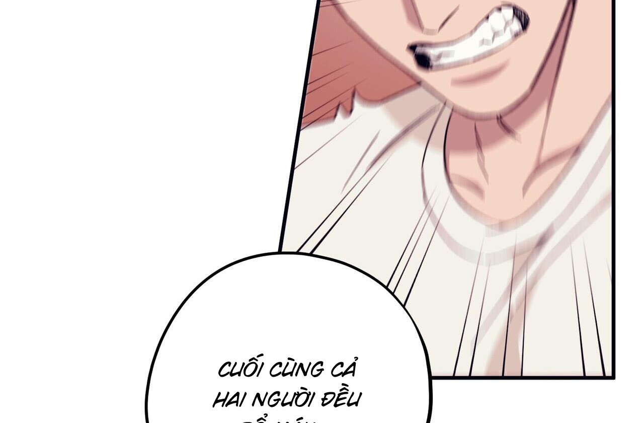 chàng dâu nhà họ kang chapter 42 9