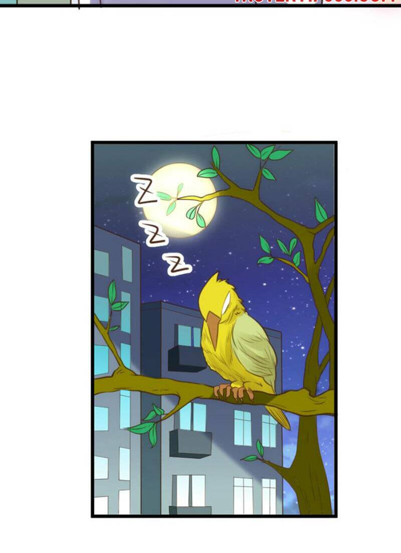 nữ tiếp viên hàng không của boss chapter 56 21