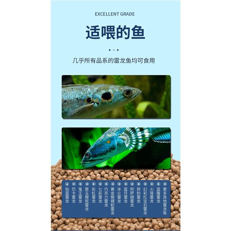Thức ăn cho cá lóc cảnh "Yee" cao cấp - cám dinh dưỡng và tăng màu cho cá lóc cảnh - phụ kiện thủy sinh- shopleo