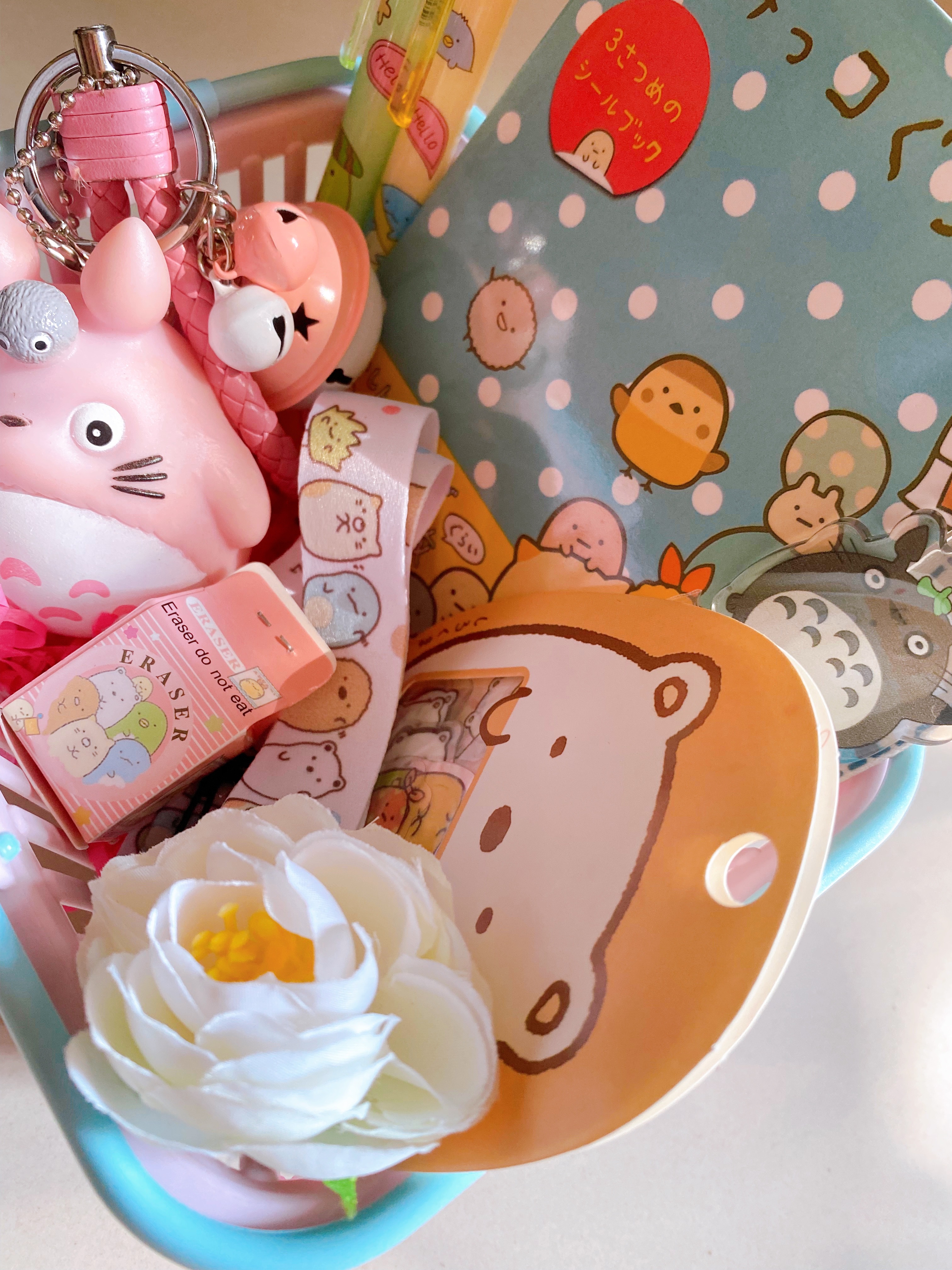 "Totoro đến rồi " Hộp quà Totoro đáng yêu dành cho bạn nữ