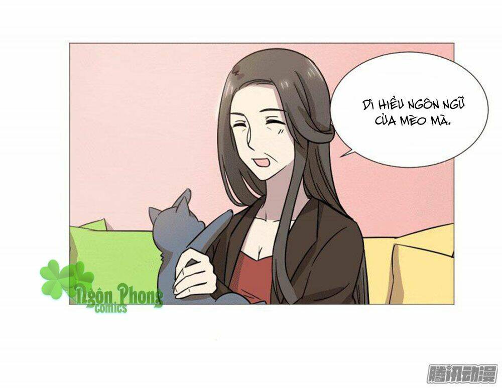hai chú mèo totem chapter 38 47