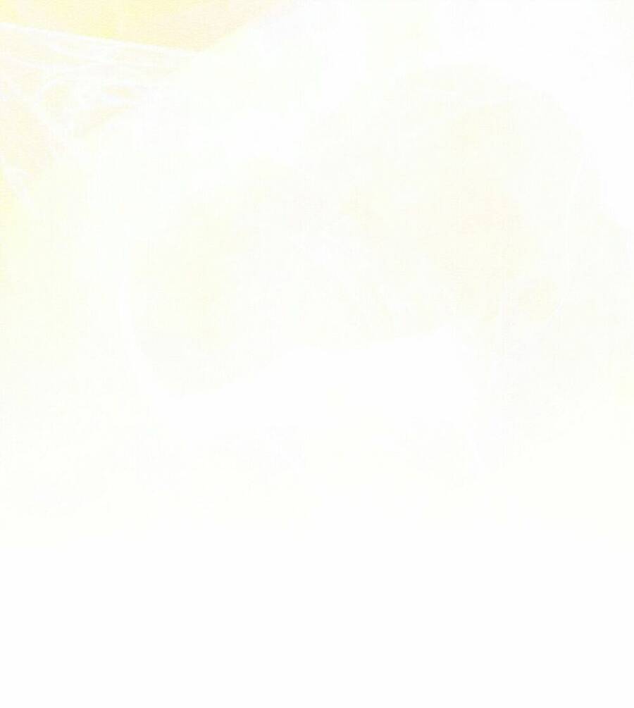 lời nói dối vĩnh cửu của người chapter 7 101