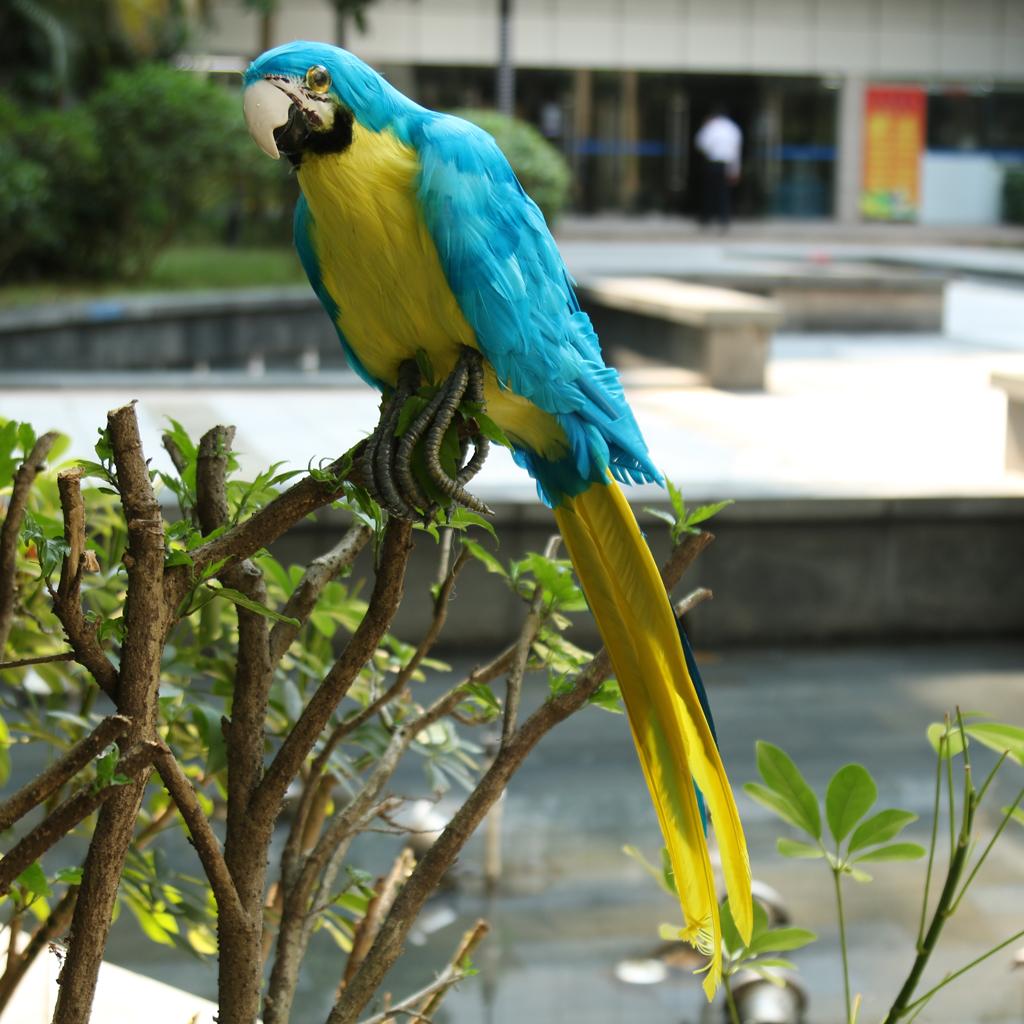 Lông Vũ Nhân Tạo Xanh Chim Vẹt Thủ Công Taxidermy Nhà Nghệ Thuật Trang Trí Vật Trang Trí
