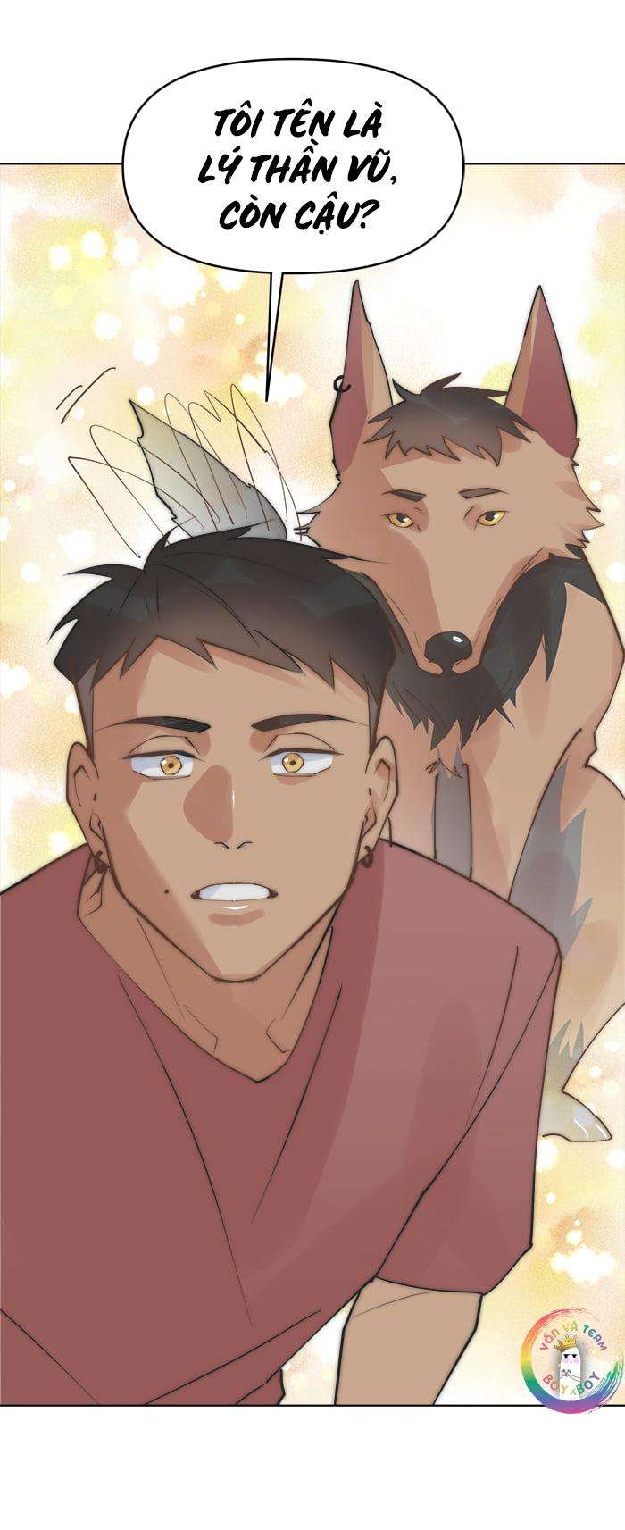 đàn anh “sói ca” cùng phòng của tôi chapter 43 27