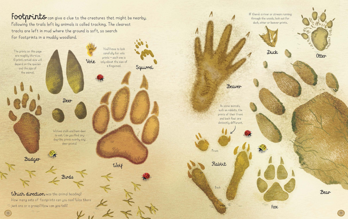 Sách ngoại văn: The Woodland Book