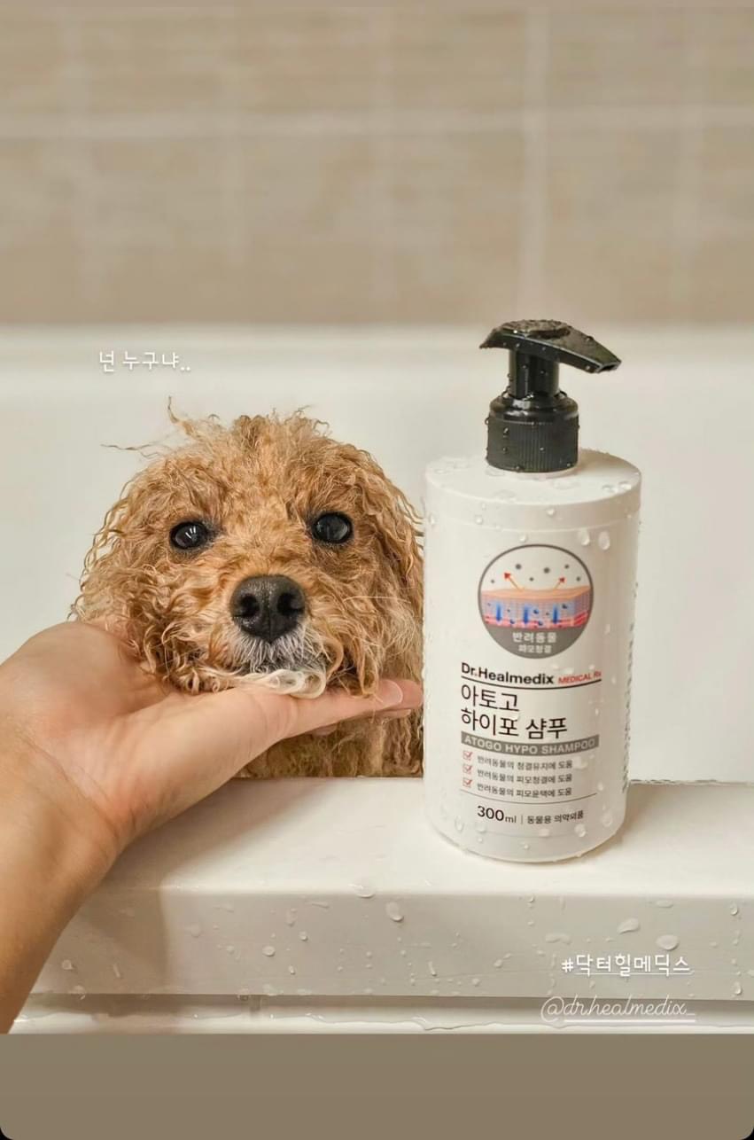 Dầu gội dưỡng ẩm cho thú cưng Dr.Healmedix Atogo Hypo Shampoo 300ml