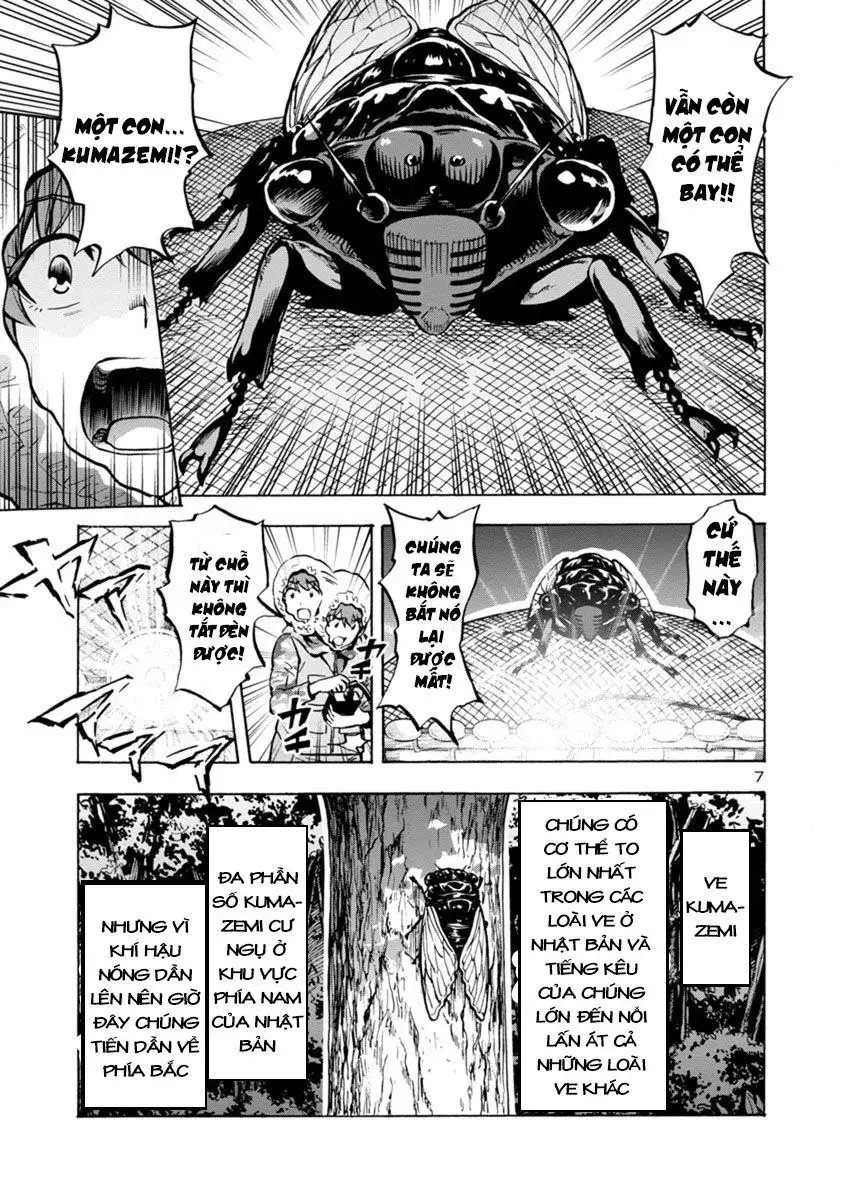 Siêu Đảo Côn Trùng chapter 9.2 7
