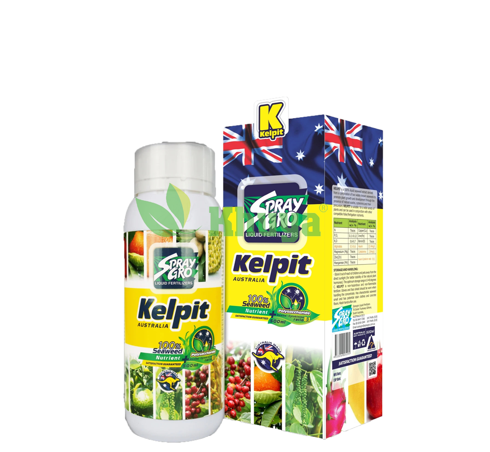 Phân bón lá hữu cơ cao cấp Toba Kelpit 500ml Mát cây Tốt rễ Úc