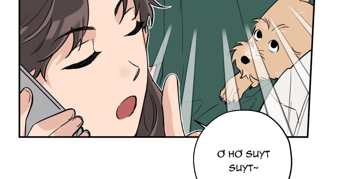 gâu gâu! chapter 50 28