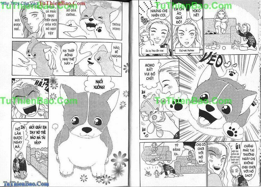 chó con mo mo chapter 2 11