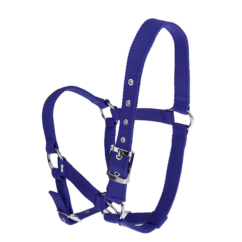 Adjustable Nylon Webbing Equestrian Western Horse Halter Horse Riding Wear Red S