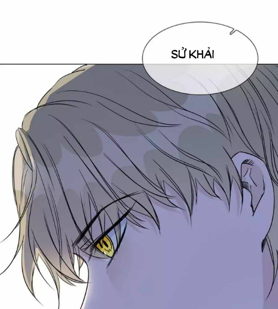 ngôi sao vụn vỡ chapter 43 95