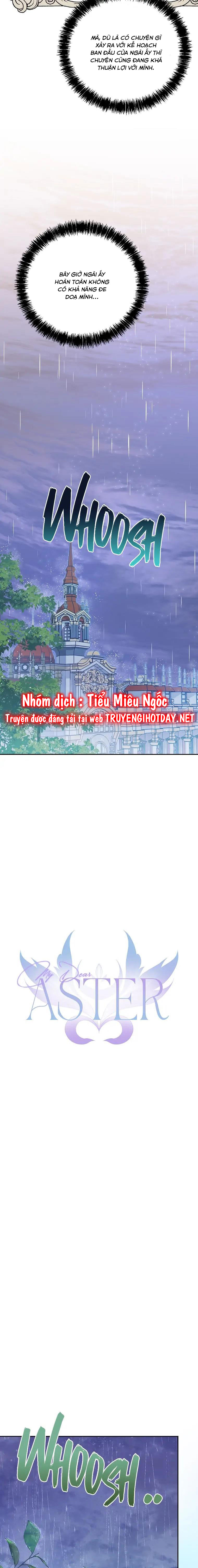 aster yêu dấu của tôi chapter 33 6