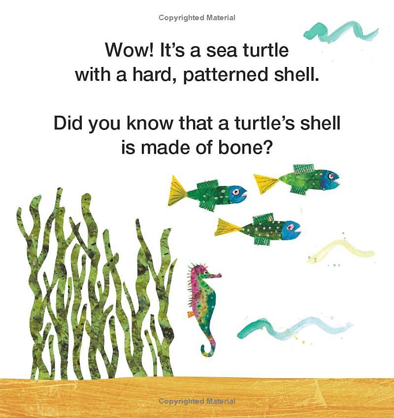 Sách ngoại văn: Mister Seahorse's Ocean Friends