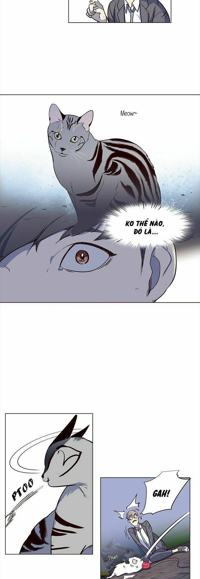 biến thân thành mèo chapter 3 12
