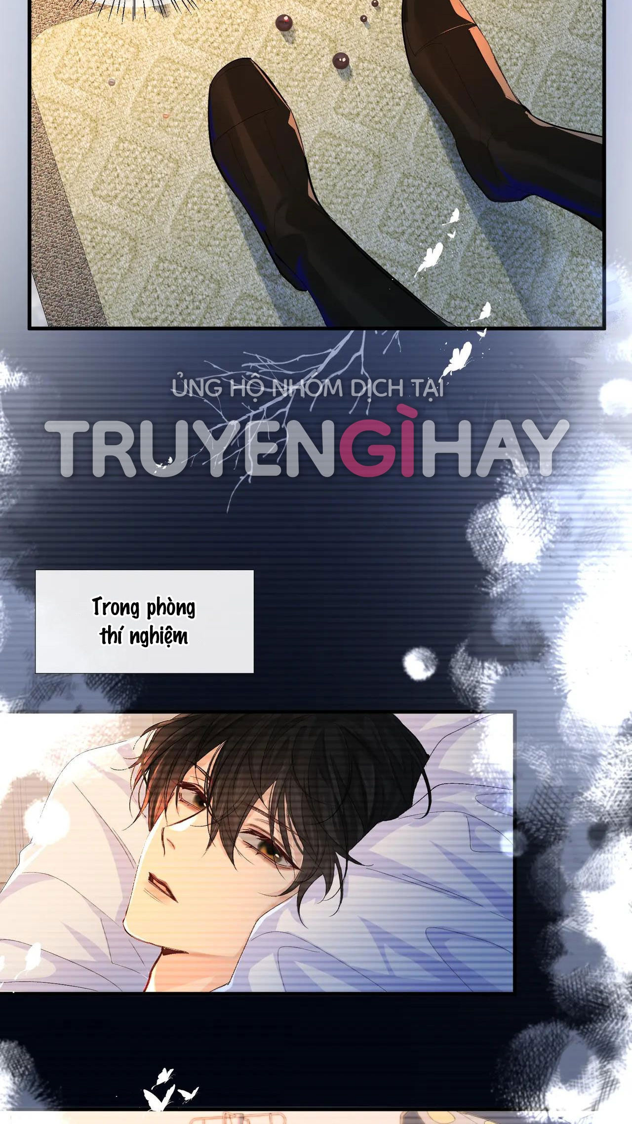 nhân ngư sa ngã chapter 14.2 12