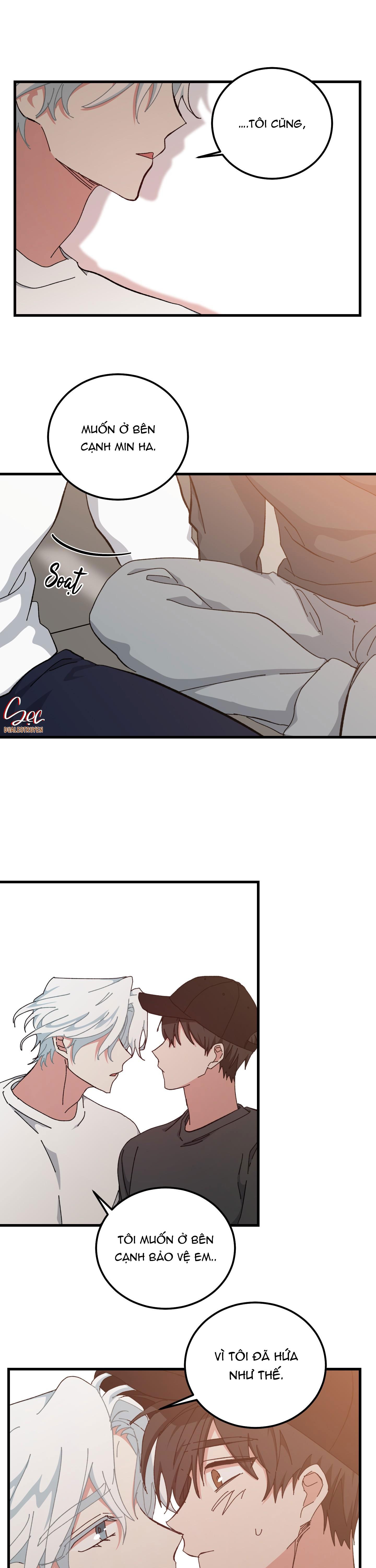 yêu tôi đi, thần hộ mệnh chapter 40 14