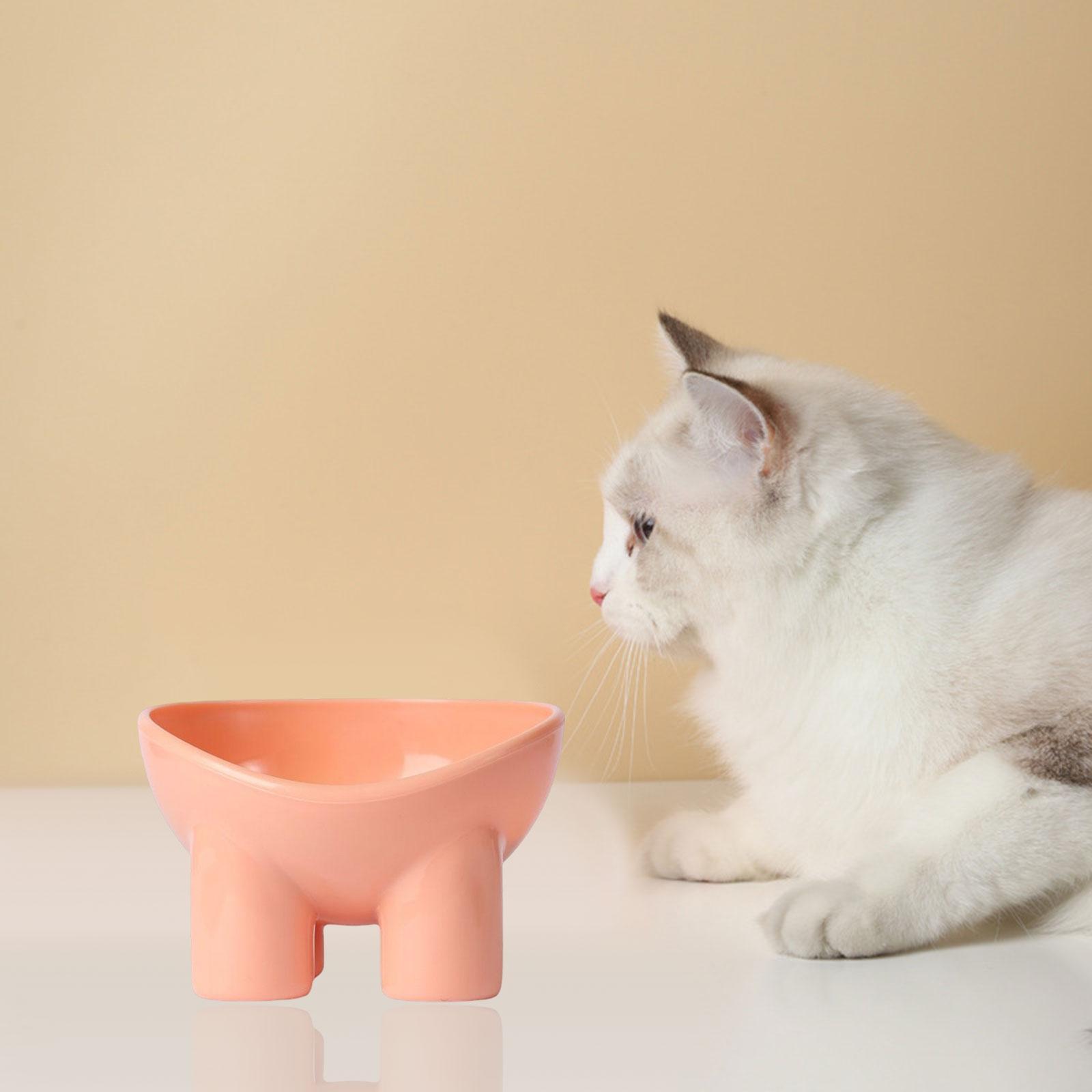 Cat Food Bowl Pet Feeding Dish Feeder Food Container Pet