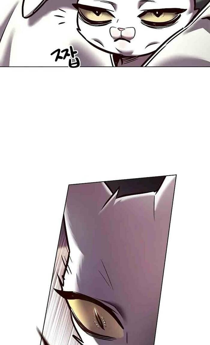 biến thân thành mèo chapter 277 12