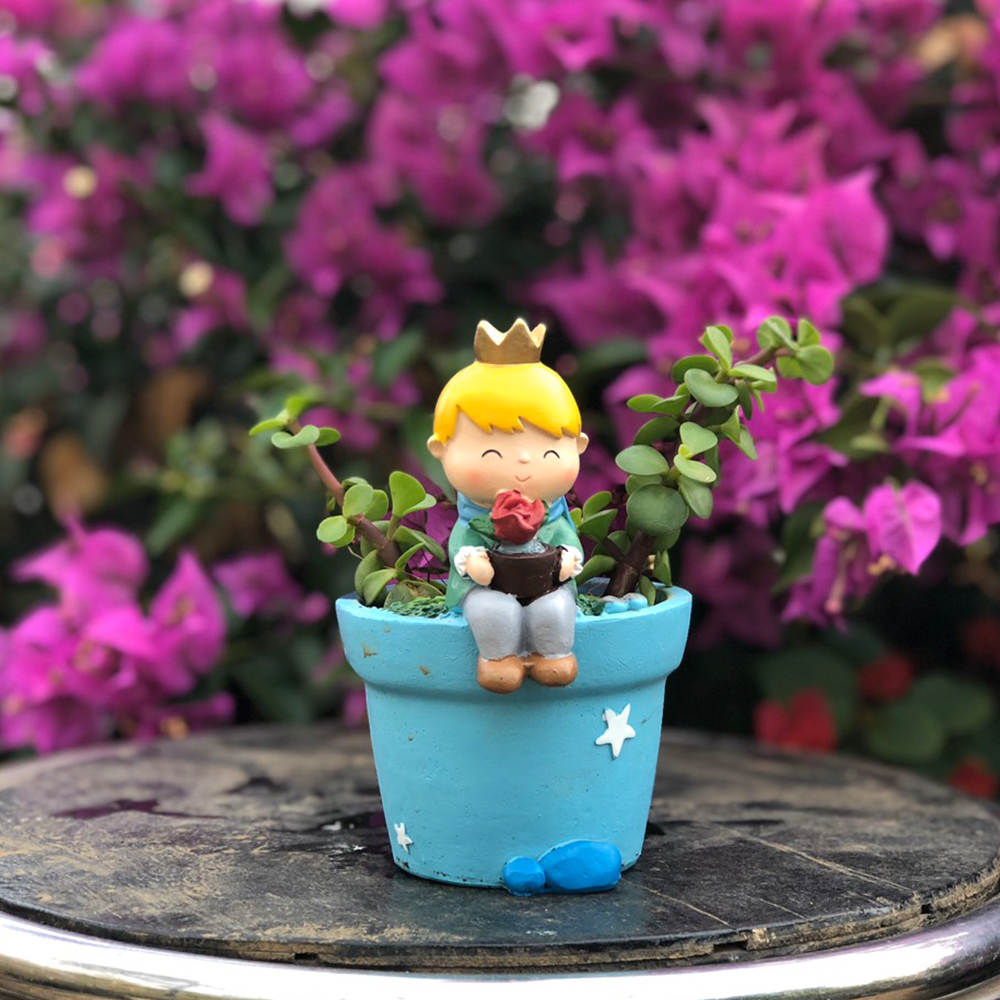 Chậu Cây Trồng Sen Đá Xương Rồng Mô Hình Hoàng Tử Bé Ôm Bông Hồng Để Bàn Làm Việc Bàn Học Trang Trí Nhà Cửa