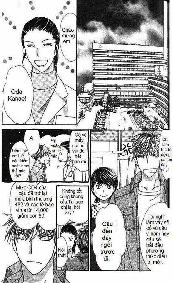 diamond life chapter 13 11