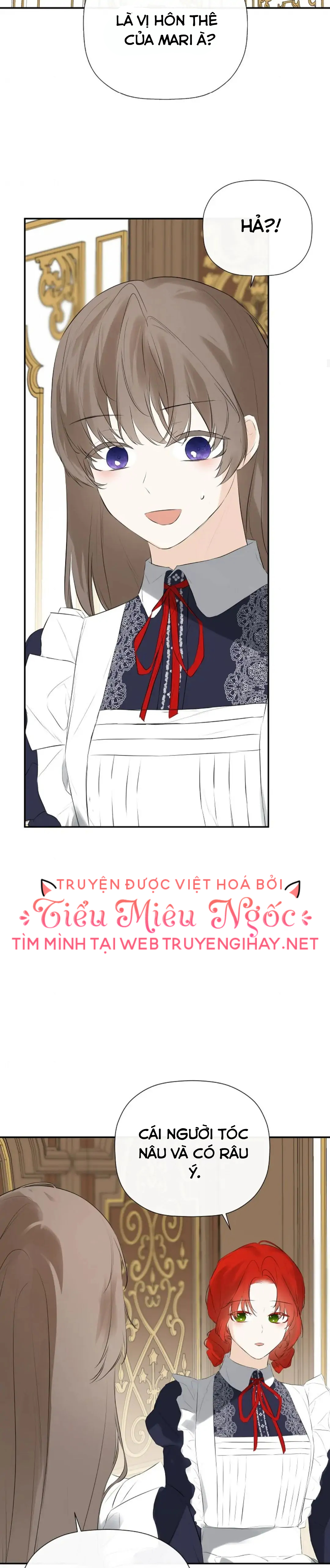 tôi biết bí mật của nam phụ chapter 35 18