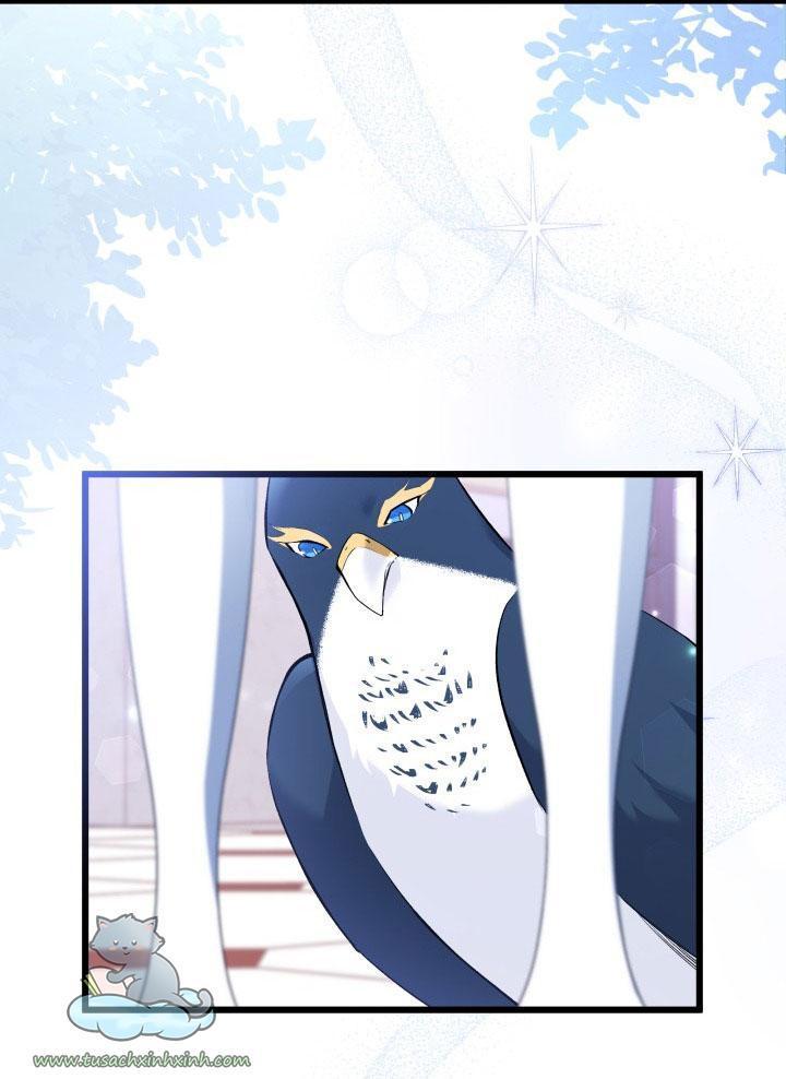 quan hệ cộng sinh giữa báo đen và thỏ trắng chapter 57 16