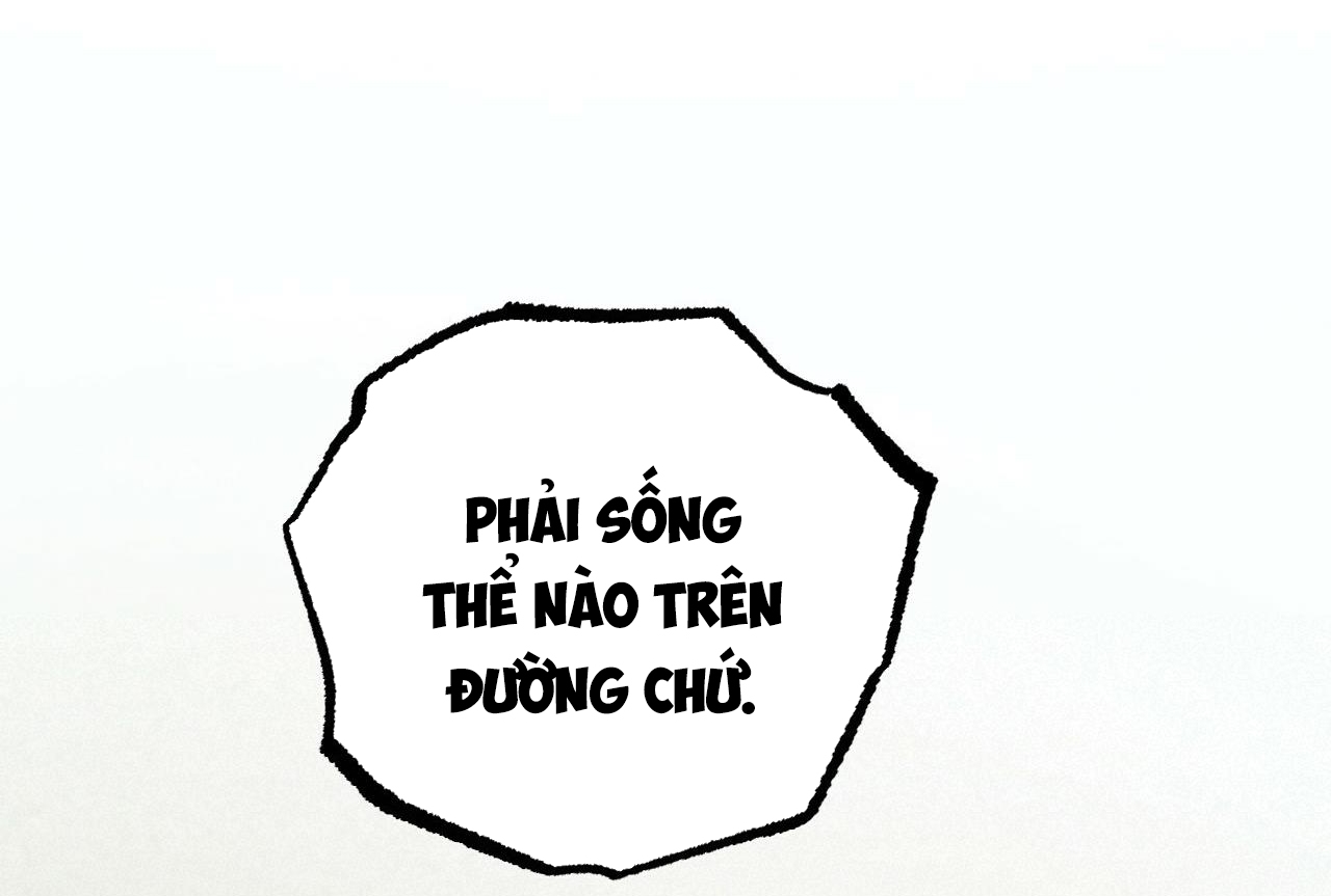 đàn thỏ của habibi chapter 35 158