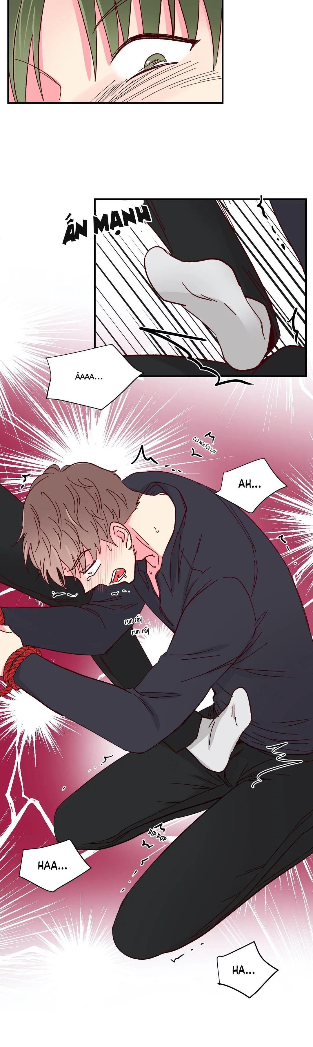 món tráng miệng của sếp tổng chapter 56 22