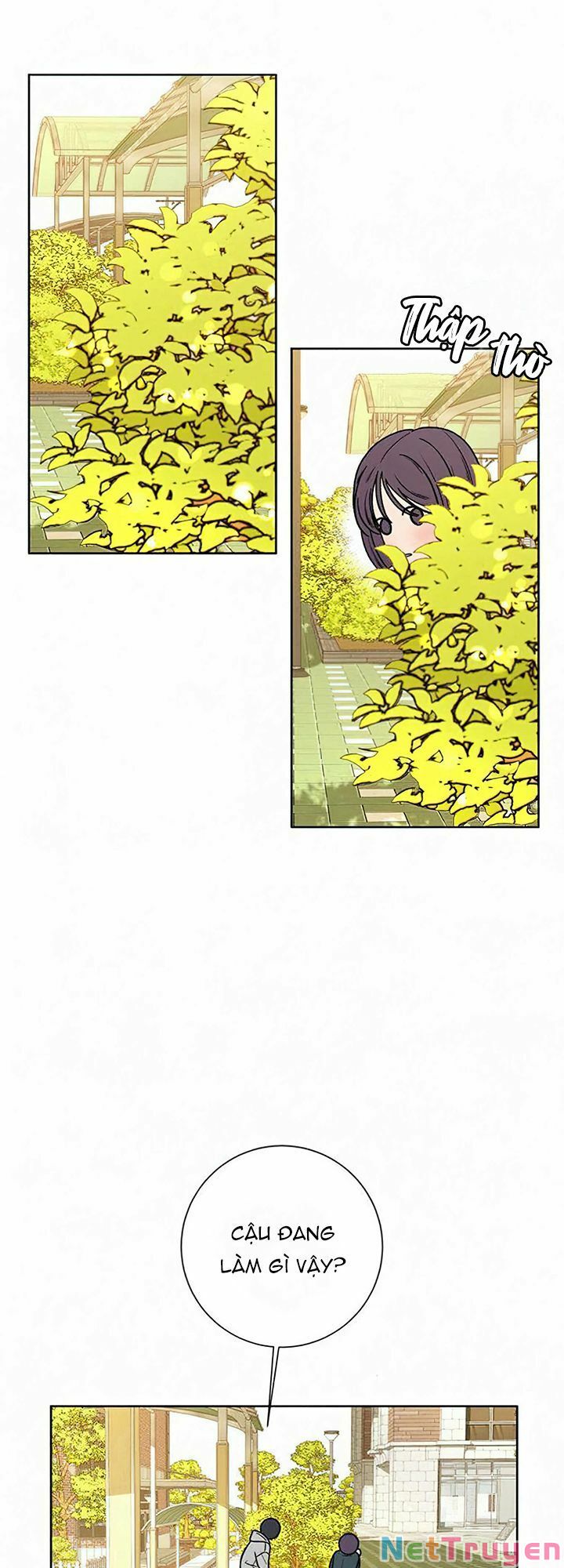 chiến lược: tình yêu trong sáng chapter 10 46