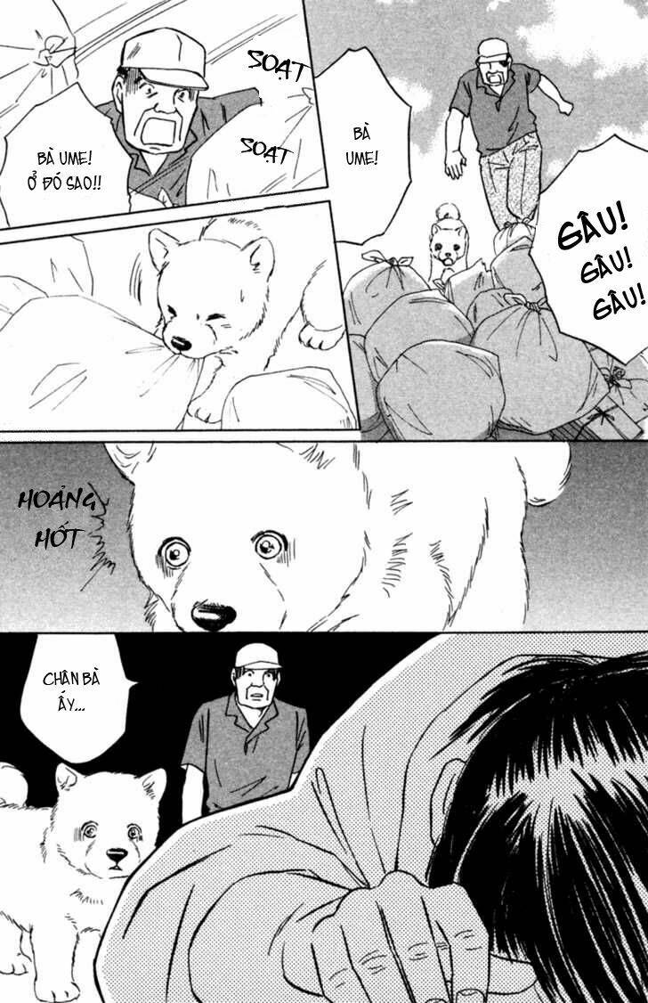 deep love - pao no monogatari chapter 3 17