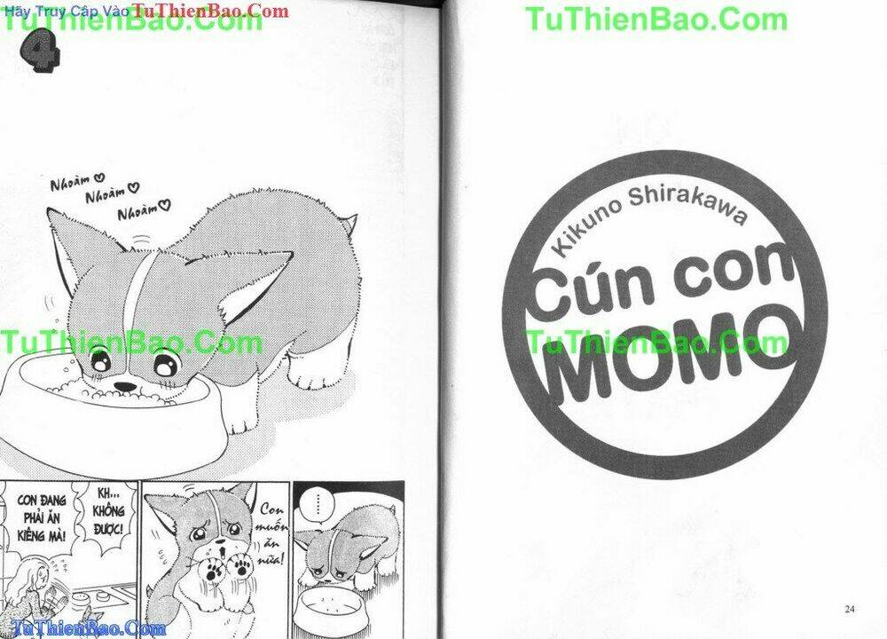 chó con mo mo chapter 4 13
